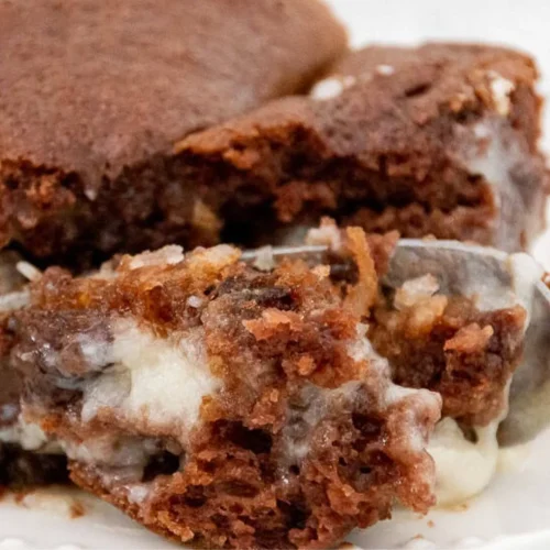 German Chocolate Earthquake Cake Recipe